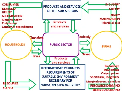 Figure 3.1: Microeconomic circular flow model of the horse industry in a closed economy  Source: own construction based on Samuelson-Nordhaus, 2009 