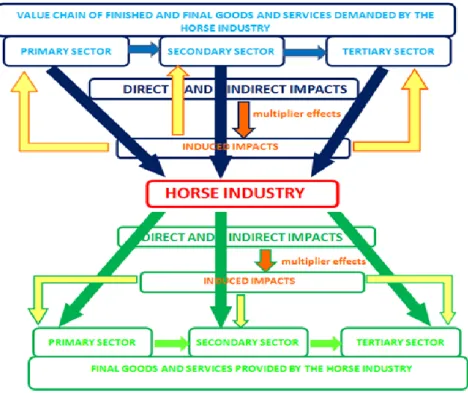 Figure 4.1: Economic impacts generated by the horse industry on the economy  Source: own construction 