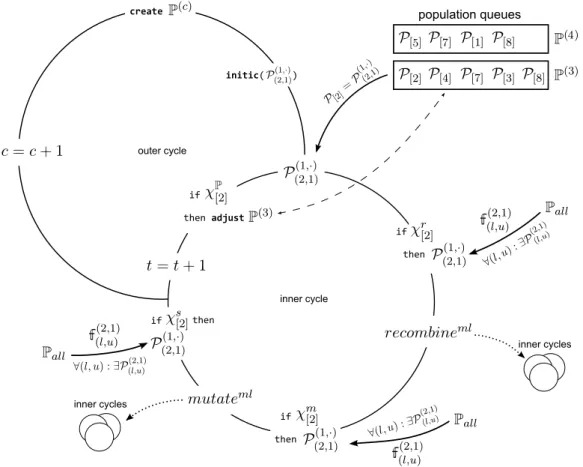 Figure 3.2: Outer and inner algorithmic cycles of Multi-Level Evolutionary Algorithms (MLEAs) with the inner cycle evolving population P (2,1)(1,·) from the population schedule P (c) 