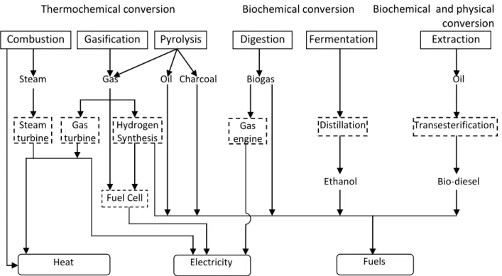 Figure 2.1 Main conversion options for biomass (Turkenburg et al., 2000)   