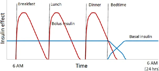 Figure 3. Effect of insulin administration. The red curve  shows an idealized theoretical approximation of the effect of 