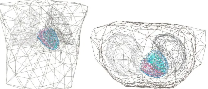 10. ábra A tartományonként homogén, valós geometriájú háromszügelt testmodell, a szimulációkban általam használt      