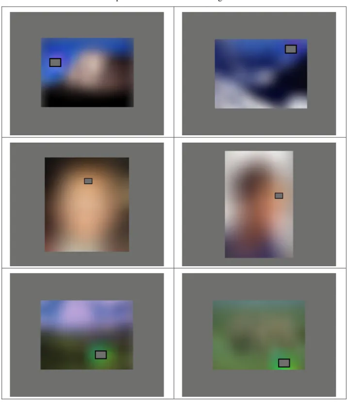 Figure 3.1.2 Blurred images corresponding to the photo-realistic images of Figure 3.1.1