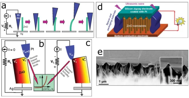 Figure  6.  Experimental  setup  and  procedures  for  generating  electricity  by  deforming  a  ZnO  NW  with  a  conductive AFM tip (a)