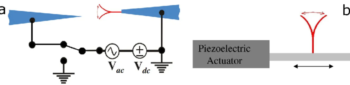 Figure  9.  Oscillation  of  one-end-affixed  NW  induced  by  an  alternating  electric  field  (a)  and  a  piezoelectric  actuator (b)