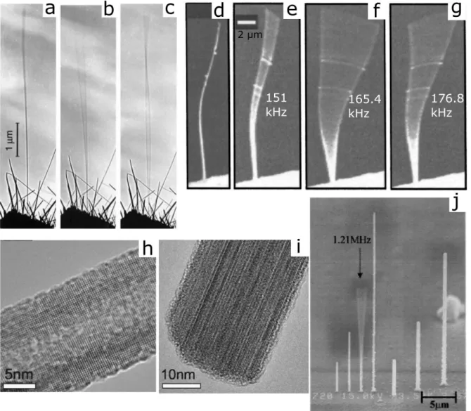 Figure  10. TEM  images  of  multiwalled  carbon  NT  responses  to  resonant  alternating  applied  potentials:  in  the  absence of a potential (a), excitation of the fundamental mode of vibration (b), resonant excitation of the second  harmonic (c) (ima
