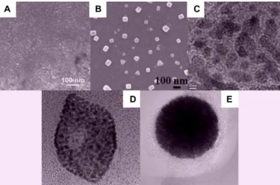 Figure 1.2. Typical scanning electron microscope (SEM) and transmission electron  microscope  (TEM)  images  of  zero-dimensional  nanoparticles:  (a)  quantum  dots,  (b)  nanoparticles  arrays,  (c)  core–shell  nanoparticles,  (d)  hollow  cubes,  and  
