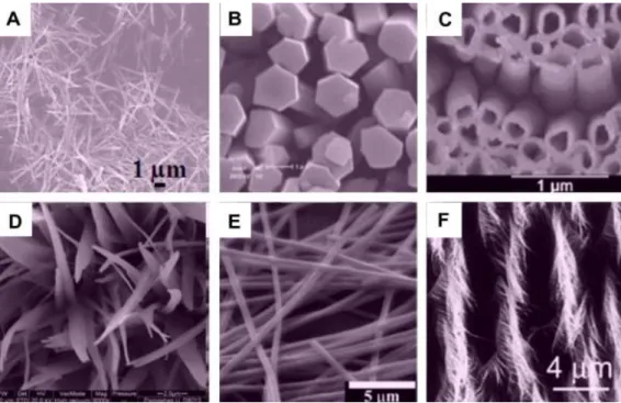 Figure  1.3.  Typical  SEM  images  of  different  types  of  one-dimensional  nanostructured  materials:  (a)  nanowires,  (b)  nanorods,  (c)  nanotubes,  (d)  nanobelts, (e) nanoribbons, and (f) hierarchical nanostructures [4]