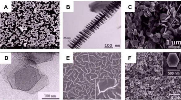 Figure  1.4.  Typical  SEM  and  TEM  images  of  different  types  of  two-dimensional  nanostructures:  (a)  junctions  (continuous  islands),  (b)  branched  structures,  (c)  nanoplates, (d) nanosheets, (e) nanowall, and (f) nanodisk  [4] .