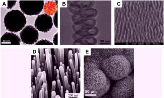 Figure  1.5.  Typical  SEM  and  TEM  images  of  different  three-dimensional  nanoparticles:  (a)  nanoballs  (dendritic  structures),  (b)  nanocoils,  (c)  nanocones,  (d) nanopillars, and (e) nanoflowers [4]