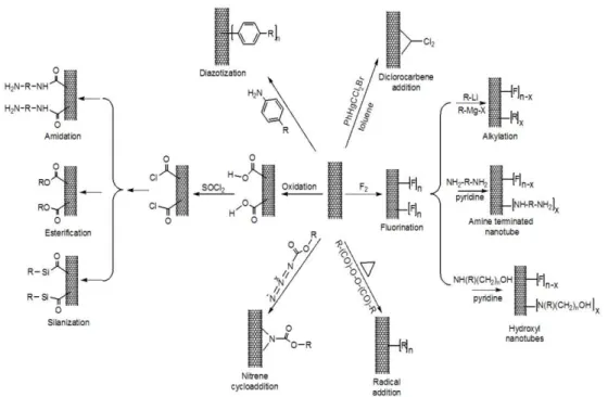 Figure 1.11: Summary of defect functionalization through –COOH and –[F] n groups [42].