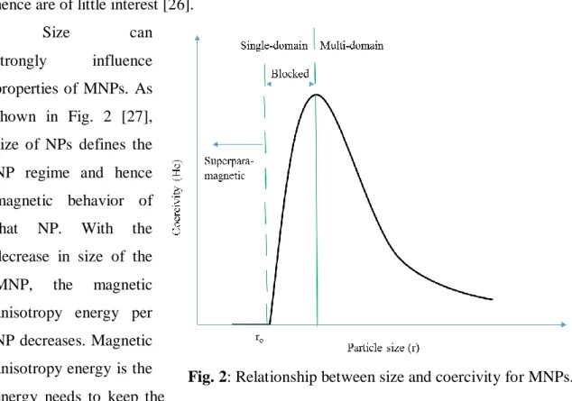 Fig. 2: Relationship between size and coercivity for MNPs. 