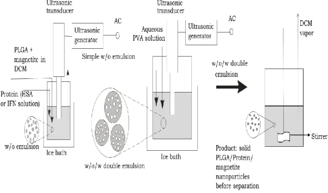 Fig. 3: Schematic diagram of the double emulsion solvent evaporation method applied  for preparation of PLGA nanoparticles with encapsulated HSA (model drug) or IFN and  Fe 3 O 4  particles