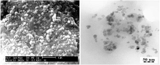 Fig. 4: (a) SEM and (b) TEM micrographs of HSA-loaded magnetic PLGA NPs. 