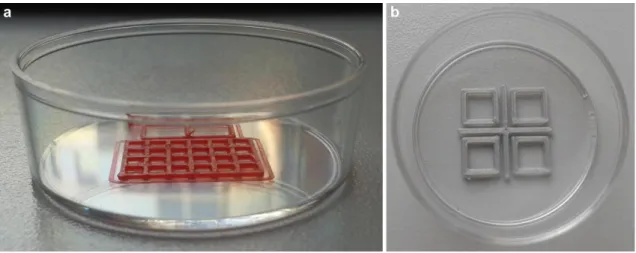 9. ábra: A Petri csészébe nyomtatott miniatűr plate-ek láthatóak az a-b ábrákon10. 