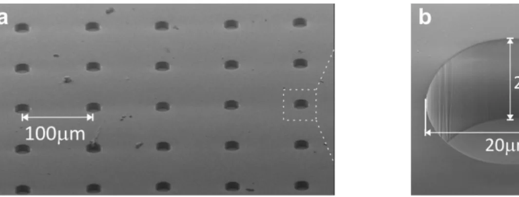 10. ábra: A litográfiás eljárással létrehozott PDMS microwell tömbök pásztázó elektron mikroszkópos (a)  és nagyított (b) képe 10 