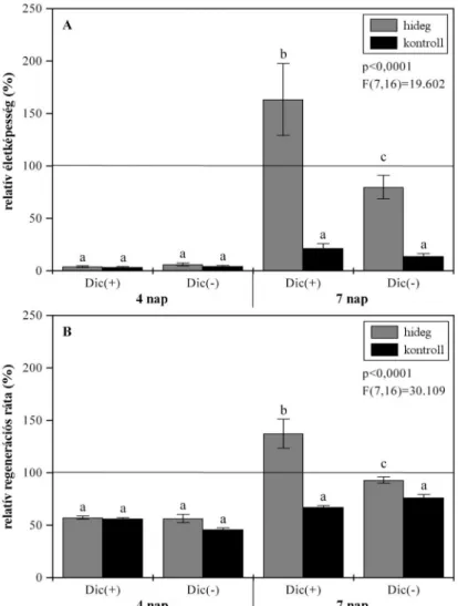 13. Ábra Dicambával kezelt (Dic(+)) és Dicamba-mentes (Dic(-)), kontroll körülmények között (24 °C) nevelt,  illetve  4  és  7  napig  hidegedzett  (4  °C)  árpa  kallusztenyészetek  fagytesztet  (-4  °C)  követıen  mérhetı  relatív  életképessége  TTC  te