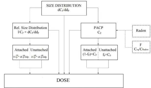 Figure 7-  Parameters to estimate the dose from radon short-lived decay products 