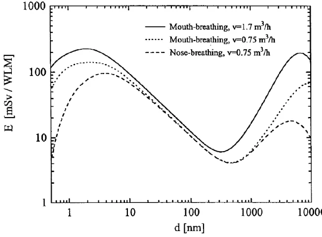 Figure 9- Dose conversion factors based on the breathing behaviour and  particle size 