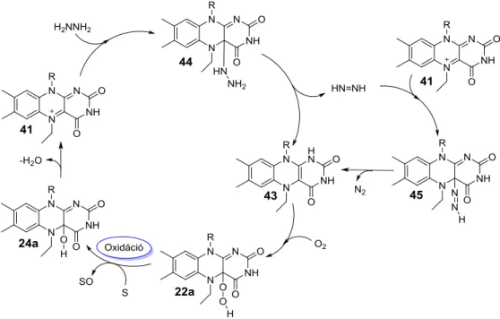 16. ábra. Katalitikus Bayer-Villiger reakció flavinium sóval és H 2 O 2 -dal. 