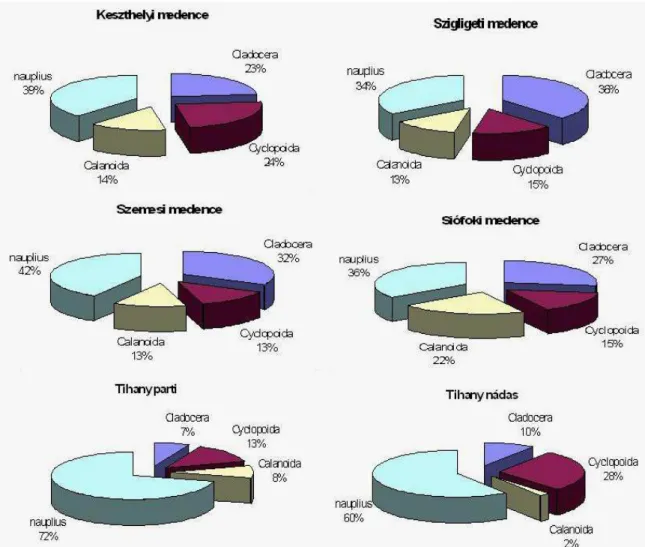 18. ábra: A különböző mintavételi pontok Cladocera, Copepoda aránya 