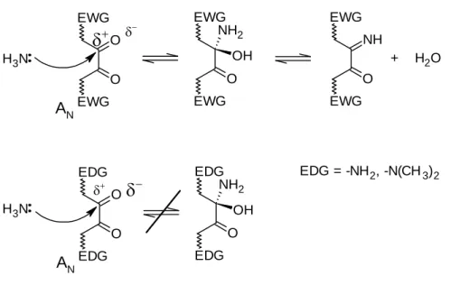 21. ábra 9,10-fenantrénkinon-monoimin származékok kialakulása és a gátolt reakciók 
