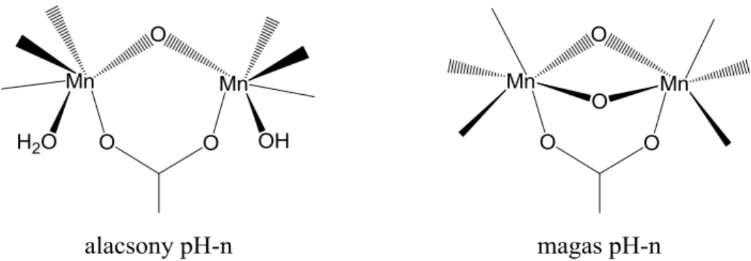7. ábra Egyensúly az MnKat aktív centrumának lehetséges szerkezetei között Mn 2 (III,III)  oxidációs állapotban, eltérő pH-n 