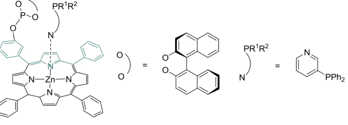 15. ábra Szupramolekuláris stratégiával előállított foszfin-foszfit típusú ligandumok 