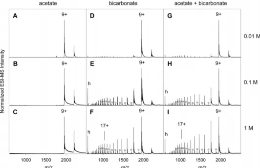 12. ábra. A mioglobin ESI-MS profiljai különböz˝o koncentrációjú acetát és bikarbonát eluens esetében [118].