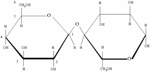 2.2. ábra:  A cellobióz szerkezete  [22] 