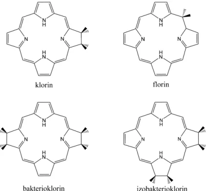 2. ábra. A különböző redukált porfirin származ ékok szerkezete.