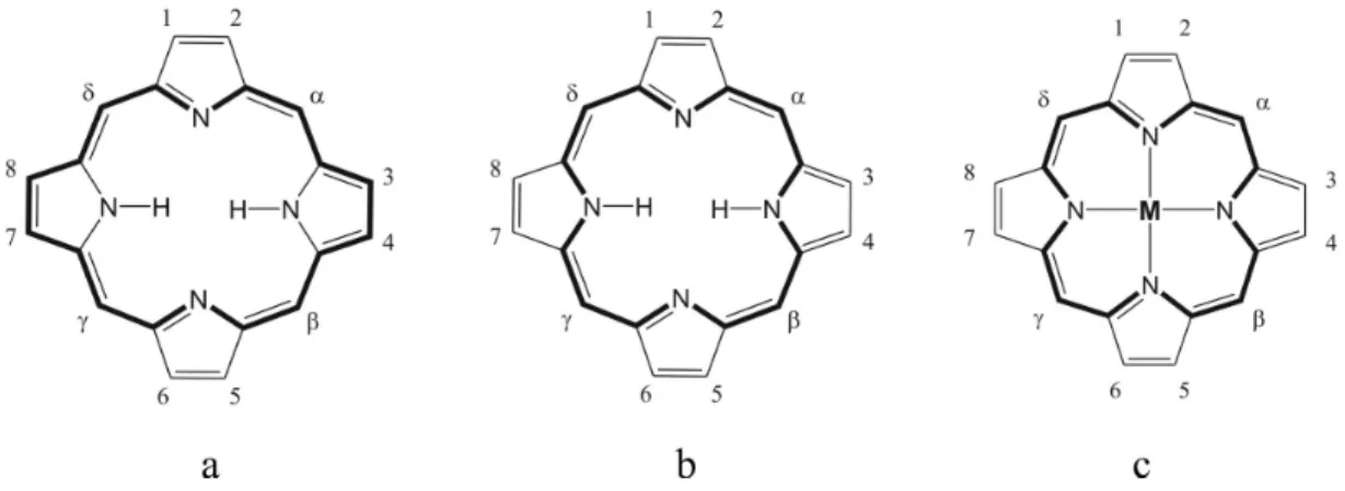 7. ábra. Sz abad porfirin és metalloporfirin között fennálló szimmetria különbség.  