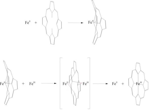 19. ábra. A vas(III)-porfirin képződés mechanizmusának egysz erűsített vázlata. 
