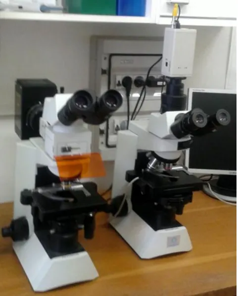 8. ábra A vizsgálatok során használt fluoreszcens (balra) és a fáziskontraszt (jobbra)  mikroszkópok 