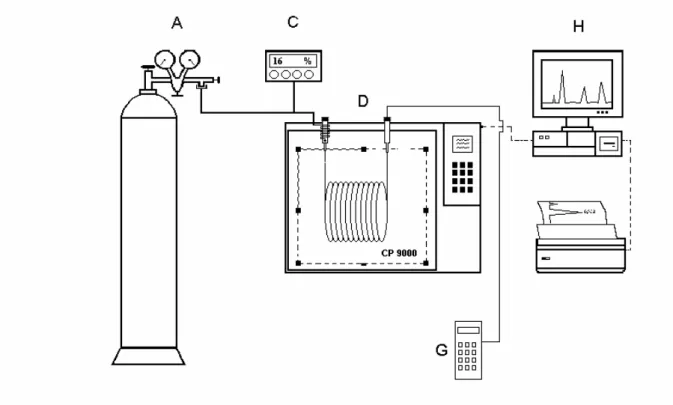 Figure 3.1 The schematic picture of gas chromatograph 