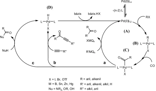 Az  aminokarbonilezési  reakció  mechanizmusa  több  módon  képzelhető  el  (1.10  ábra)