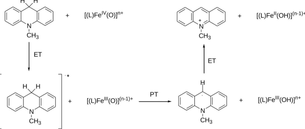 14. ábra Nem-hem oxovas(IV) komplexek és NADH reakcióira javasolt  mechanizmus 