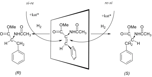 1. ábra. (Z)--Acetamidofahéjsav-metil-észter (AFMe) hidrogénezése 