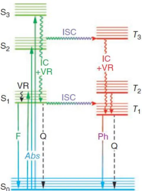 Figure 1.6 The Jablonski diagram: Abs, absorption; F, fluorescence; IC, interval conversion; 
