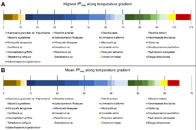 Figure  4  A:  Highest P B max   values  along  the  temperature  scales  of  the  species