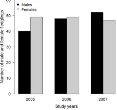 Figure 3.6. Number of male and female house sparrow nestlings in different study years 