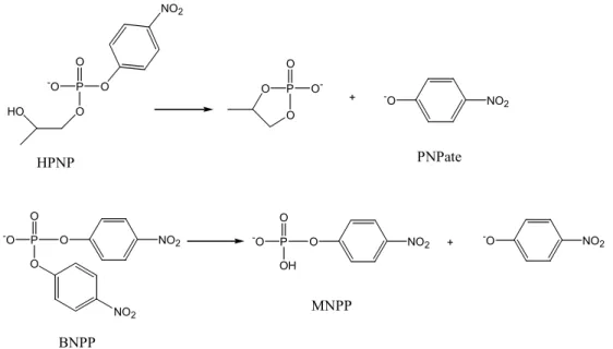 Figure 29.  Substrats utilisés dans l’étude d’activité phosphatase des complexes C1 et C3