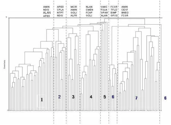 3. ábra: A 102 svéd és magyar kisvízfolyás epilitikus diatóma közzösségének dendogrammja  (cluster-analízis, Bray-Curtis index; a rövidítések az egyes fajok OMNIDIA kódjai)