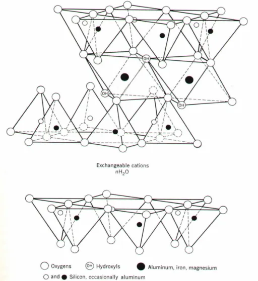 Figure 1.2. Diagrammatic sketch of the structure of the montmorillonite after Grim [28]