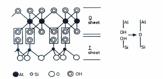 Figure  1.3.  The  condensation  of  a  tetrahedral  and  octahedral  layer  results  in  the  formation of so-called TO-clay sheet after Nemecz [27]