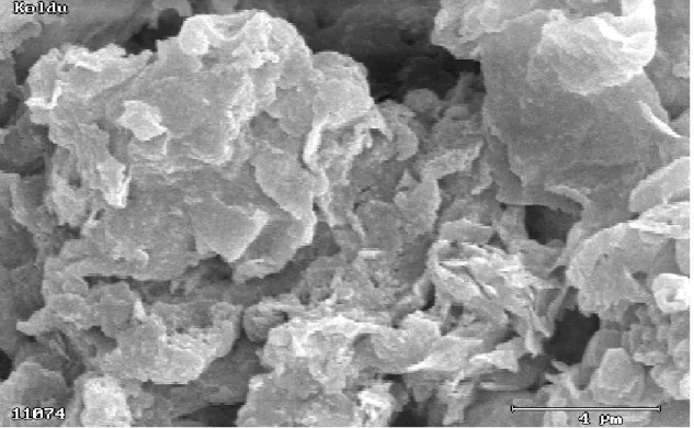 Figure  2.4.    Picture  of  Koldu  clay  by  scanning  electron  microscope  shows  us  the  arrangement of the clay sheets of the aggregates