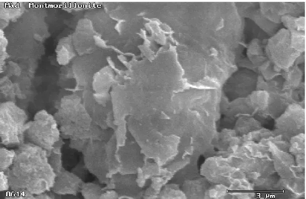 Figure 2.5.  SEM picture of the Mád montmorillonite aggregate. The leaflets on the surface  can easily be distinguished