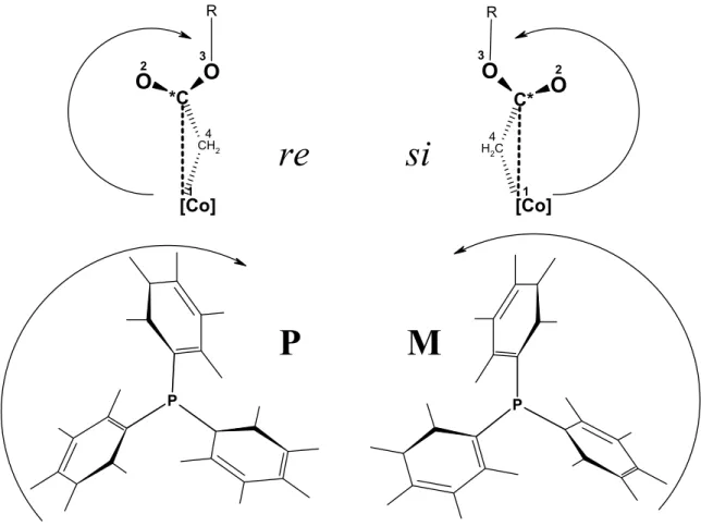 3. ábra: Királis konformációk jelölésrendszere az alkil és a foszfin ligandumon
