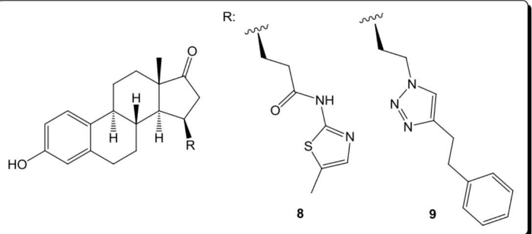 5. ábra 17β-HSD1 enzim inhibitorok  