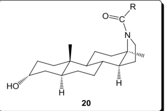 10. ábra Potenciális GABA A  receptor moduláló hatással rendelkező vegyület  tervezett szerkezete  